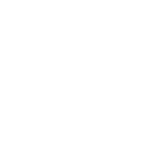 Cybr-Web Logo